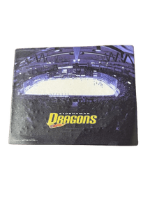 Hovedbilde Dragons Musematte 2